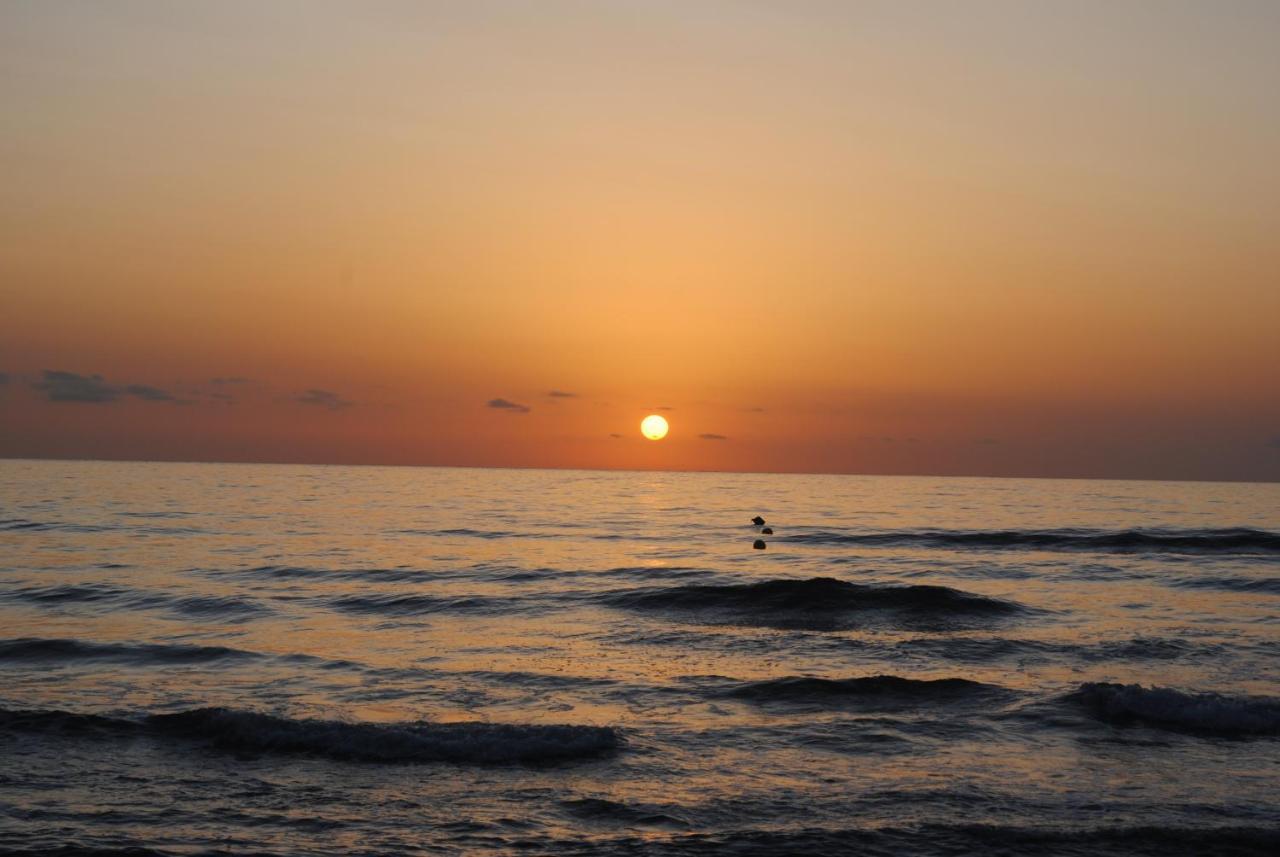 Gandia Playa-Apartamento Gandiazar 2 - Vt- 49300-V Playa de Gandia Kültér fotó